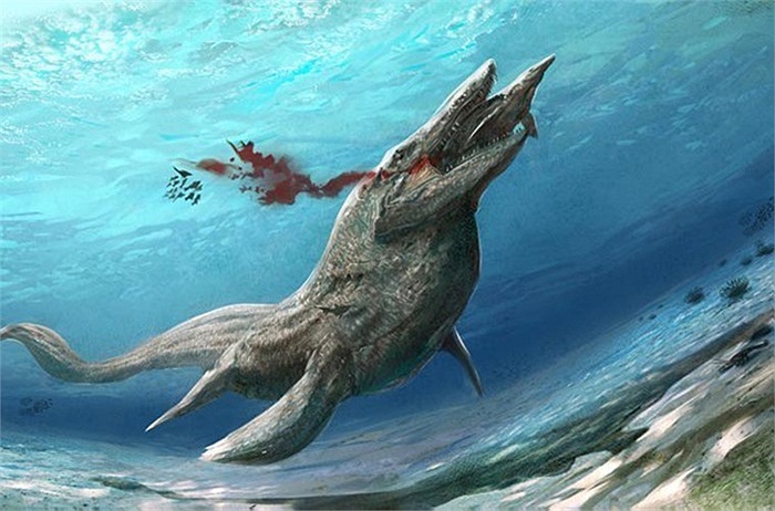 Con quái thú có chiều dài lên đến 15m này tên là Tylosaurus. Cá mập cũng trở thành mồi của chúng