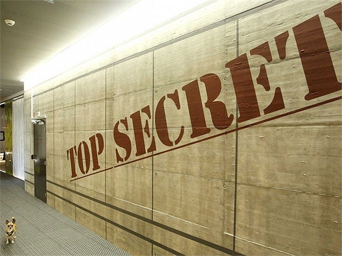 Một chú chó của nhân viên xuất hiện bên cạnh tấm biển 'Tuyệt mật' ở văn phòng Google tại Zurich, Thụy Sĩ