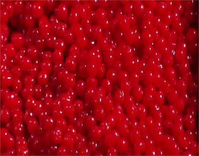 Trái anh đào được tô màu đỏ tuyệt đẹp.