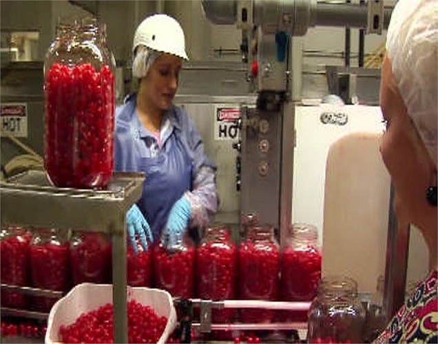 Bình thủy tinh được dùng để đựng anh đào.