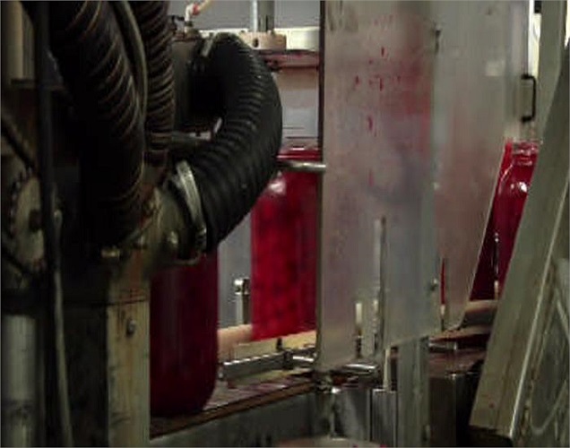 Vết đỏ vương vãi trên dây chuyền chế biến.