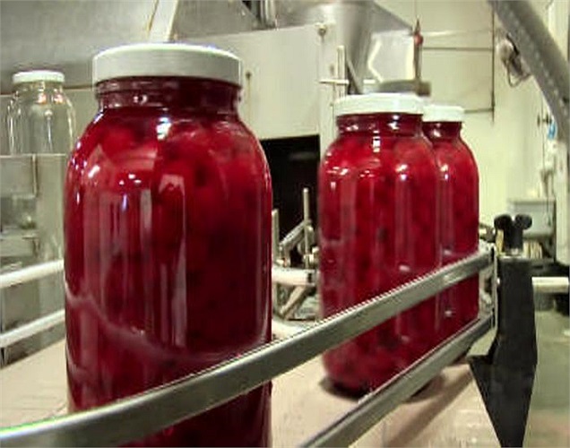 Và thành phẩm cuối cùng là những hộp anh đào tươi ngon nhưng không tốt chút nào cho sức khỏe con người.