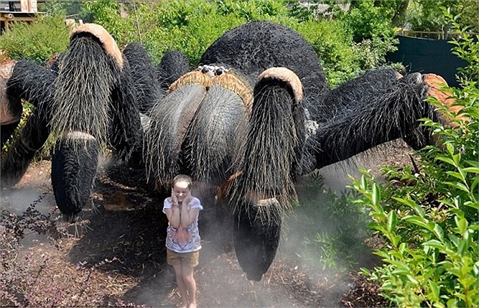 Con nhện lông bằng máy dài tới 9m khiến bé gái phát hoảng