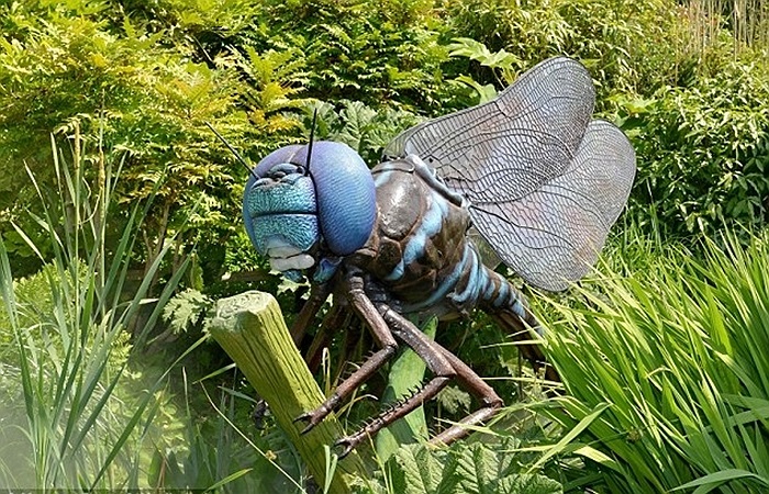 Chuồn chuồn ngô khổng lồ của vườn thú 