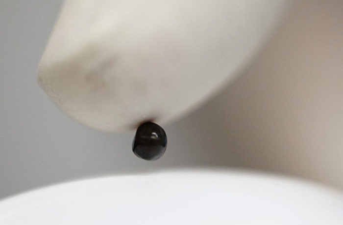 Chíp được dùng để nhặt ra những quả trứng cá đổi màu hoặc không tinh khiết.