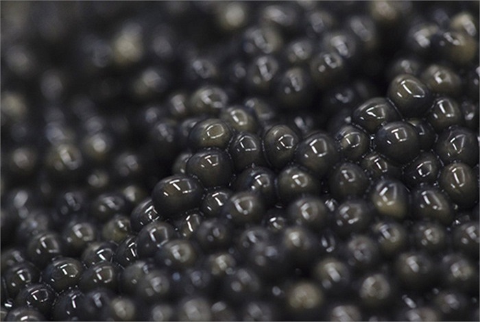 Trứng cá muối có nhiều kích cỡ và màu sắc. Độ đa dạng này phụ thuộc vào tuổi cá và thức ăn của cá khi còn sống.