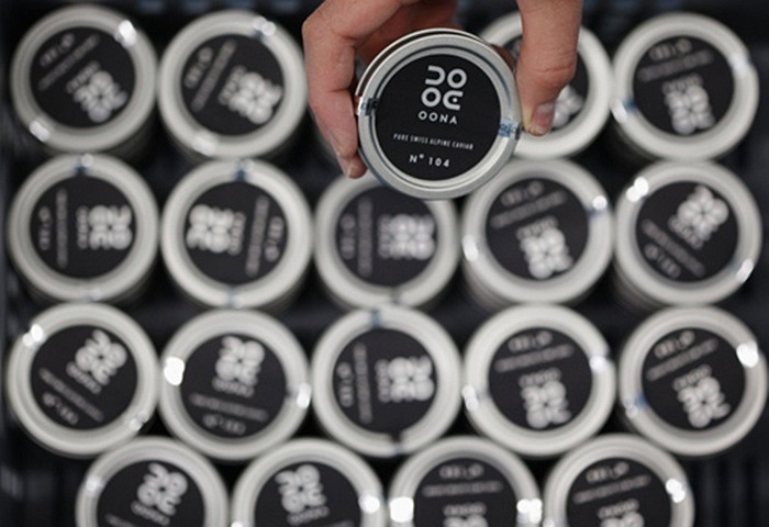 Trứng cá muối Oona có 4 loại. Loại cao cấp nhất có chất lượng cao nhất với những quả trứng có kích cỡ bé nhất khoảng 2,6 millimet và được chọn lựa bằng tay. Một hộp nhỏ 30gram có giá 232 USD (khoảng 5 triệu đồng).