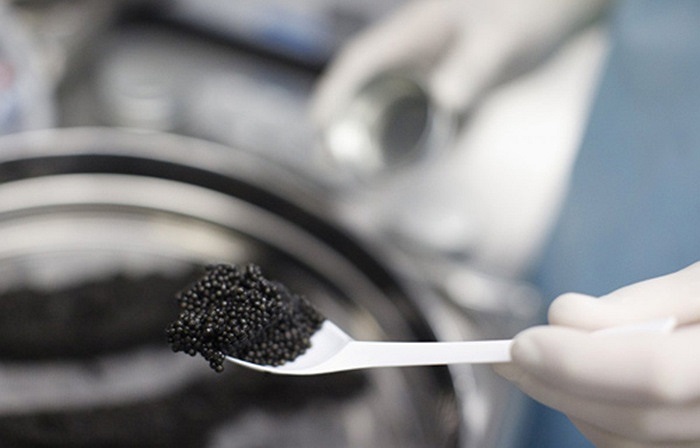 Món trứng cá muối Oona là đối thủ cạnh tranh hàng đầu của các loại trứng cá muối đắt nhất là beluga, osertra, và sevruga. Một ounce trứng cá muối beluga (khoảng 28 gram) giá 285 USD (khoảng 6 triệu đồng).