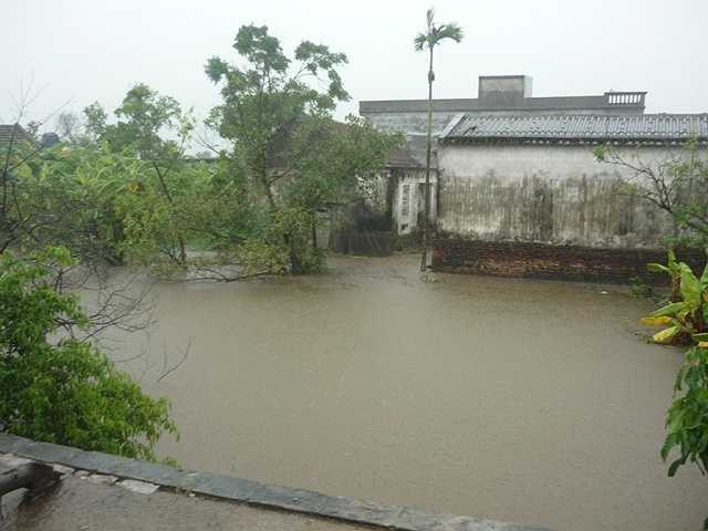 bão số 5, bão jebi, quảng ninh, thiệt hại