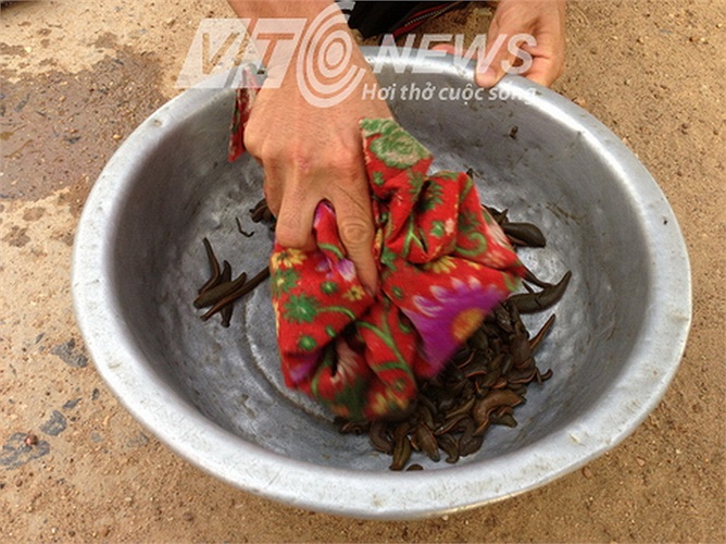 Toàn bộ quá trình thu mua đều được làm trực tiếp bằng tay trần