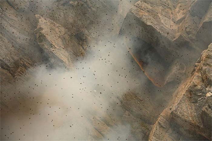 Trong lúc đó, những người đàn ông bắt đầu tìm cách để bắc thang dây rất dài dọc theo vách đá dựng đứng, hướng về phía tổ ong.