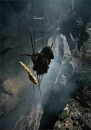 Trước khi kéo vào rừng, họ thực hiện nghi lễ cầu nguyện với hoa, trái cây và gạo. Phụ nữ và trẻ em cũng được đi theo để giúp đỡ những việc hậu cần.