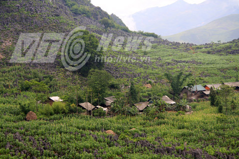 giết người cướp trẻ em