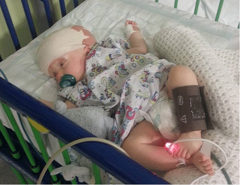 tiêu hóa chất lỏng chẩy từ não xuống để sống sót