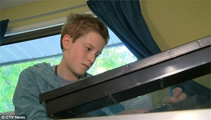 Được biết, Wren được sinh ra là một bé gái, nhưng nhờ sự động viên và ủng hộ từ gia đình, Wren gần đây đã quyết định tiết lộ giới tính thật của mình.