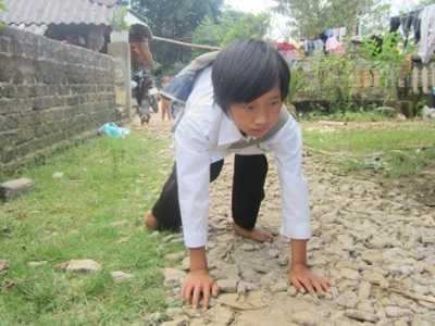 Sáng bò đi học trên con đường rừng với những hòn đá nhọn, cạnh đá sắc.