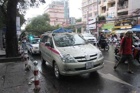 TP.HCM, Nguyễn Thị Minh Khai, Quận 1, cây xanh ngã, đè xe taxi, du khách nước ngoài