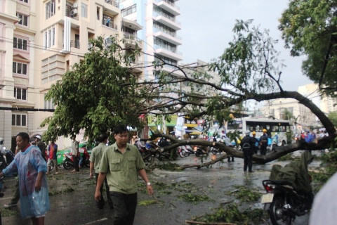 TP.HCM, Nguyễn Thị Minh Khai, Quận 1, cây xanh ngã, đè xe taxi, du khách nước ngoài