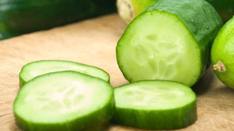 dưa chuột nhiễm khuẩn