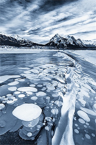  Lớp xác này lắng đọng xuống đáy hồ. Đây chính là nơi vi khuẩn thực hiện nhiệm vụ phân hủy và sản sinh ra khí mê tan. 