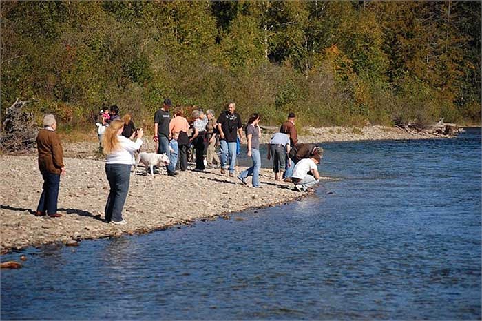 Cuộc hành hương của cá hồi đỏ trở thành một trong những cảnh tượng tuyệt đẹp của tự nhiên, thu hút rất đông khách du lịch tìm đến chiêm ngưỡng.