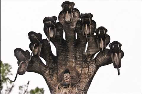 rắn thần Naga