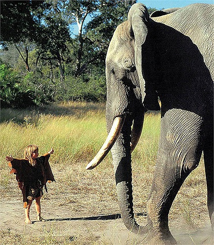 Cô ‘gái rừng xanh’ có tên họ đầy đủ là Tippi Benjamine Okanti Degré, sinh năm 1990. Cha mẹ là nhiếp ảnh gia và quay phim chuyên nghiệp người Pháp Sylvie Robert và Alain Degré. 