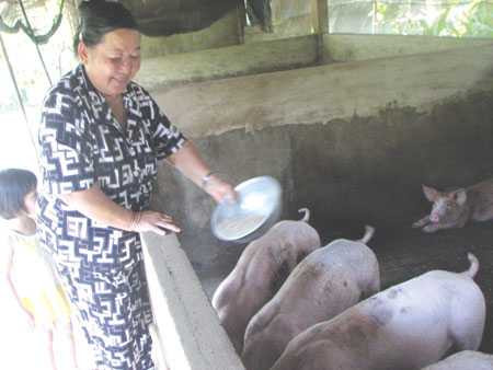 Chuyện tình huyền thoại của Tướng Tư Bốn Nguyễn Việt Thành