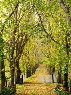 Huyền chip bỏ đại học, đi 25 quốc gia