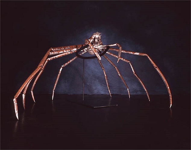 Chúng sinh sống chủ yếu tại vùng biển sâu Thái Bình Dương, phía Nhật Bản, nên chúng còn được gọi với cái tên nữa là ‘cua nhện Nhật Bản’.