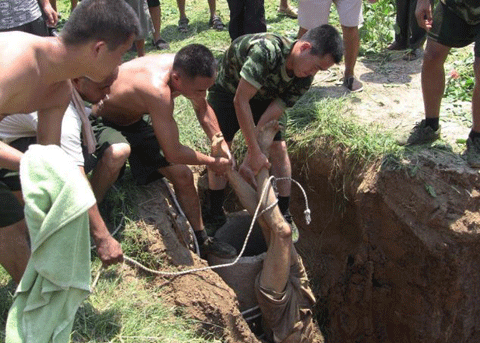 Thân thể người ông nội bị vùi trong đất