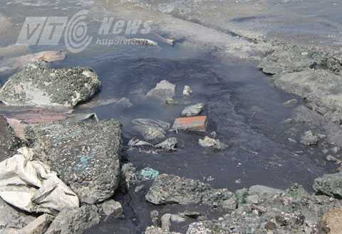 Đà Nẵng, ô nhiễm, âu thuyền, Thọ Quang, hôi thối, bức xúc, tra tấn