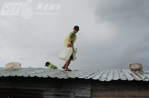 Đà Nẵng, bão số 8, mưa lũ, chống bão, hàng ngàn, người dân