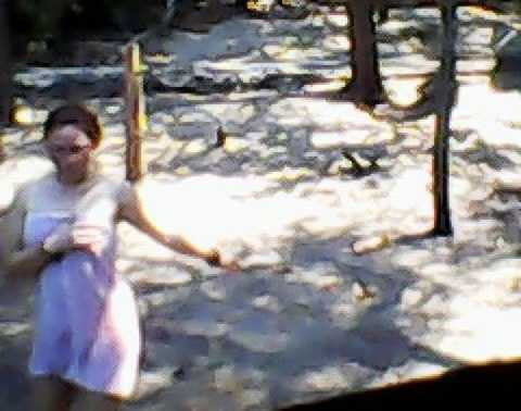 gái quê, đại gia, đà nẵng, khu sinh thái