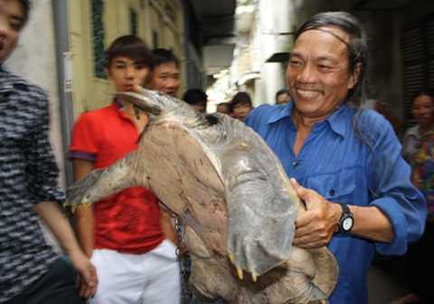 ông Nguyễn Bá Toàn (60 tuổi) bắt được ba ba khổng lồ ngay dưới chân cầu Chương Dương