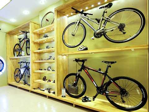 Xe đạp trăm triệu