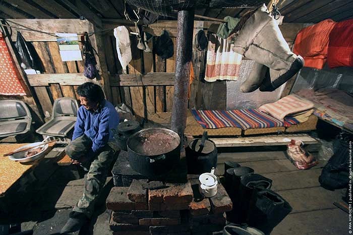 Những người dân nghèo khổ nơi đây giết chúng để nuôi sống chính mình.