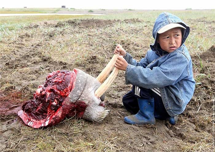 Câu hỏi đặt ra là khi “người thợ săn tương lai” này đã đủ lớn để cầm súng cầm lao đi ra biển…