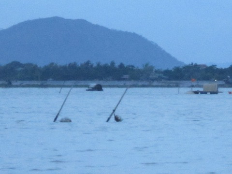 thanh hóa, thủy chiến, lời kể nhân chứng, 