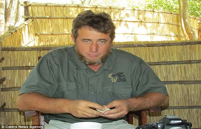Anh Guy Whittall, 40 tuổi, đang ngủ ngon giấc tại một nhà nghỉ ở Zimbabwe suýt chút nữa đã bị cá sấu ngoạm đầu.