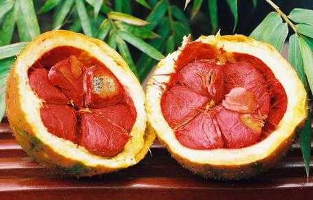 gấc