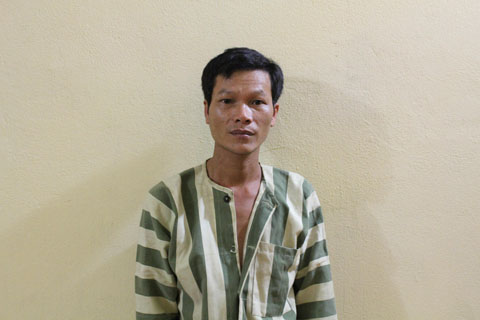 vợ liệt sỹ, An Lão, Hải Phòng, bị sát hại
