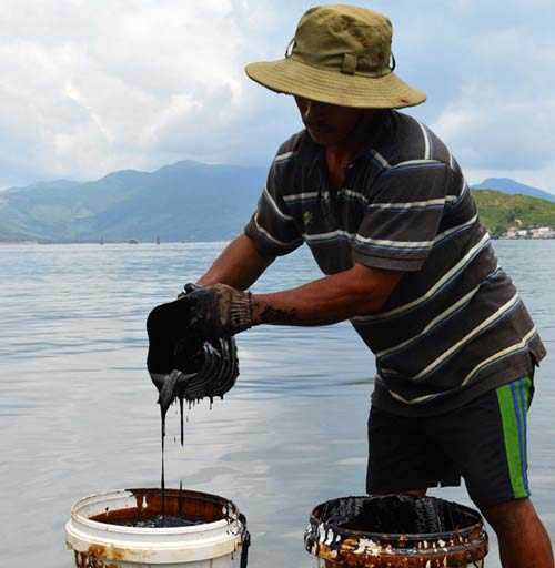 dầu tràn, ngư dân, khóc ròng, biển quy nhơn