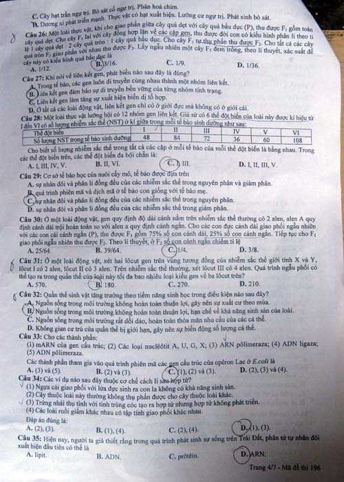 đề sinh học 2013