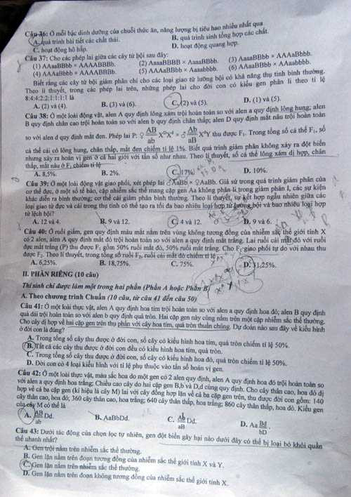 đề sinh học 2013