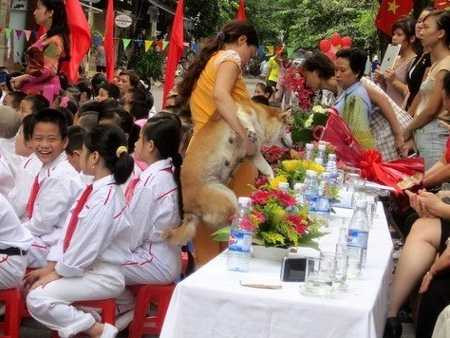 Lễ khai giảng tổ chức dưới lòng đường, khách mời ngồi trên hàng ghế ở vỉa hè, nơi người dân qua lại.