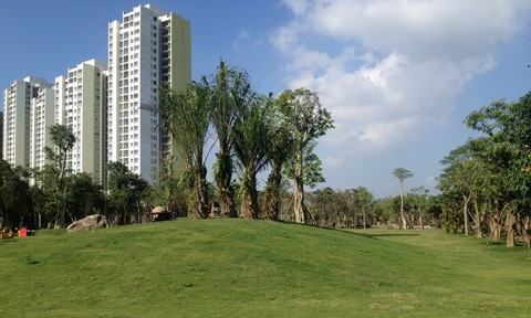 Công viên mùa Hạ