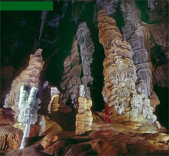 Có những loại thạch nhũ mang cả những hình thù rất kỳ lạ và thú vị như hình các con vật hay hình cây nấm khổng lồ. 