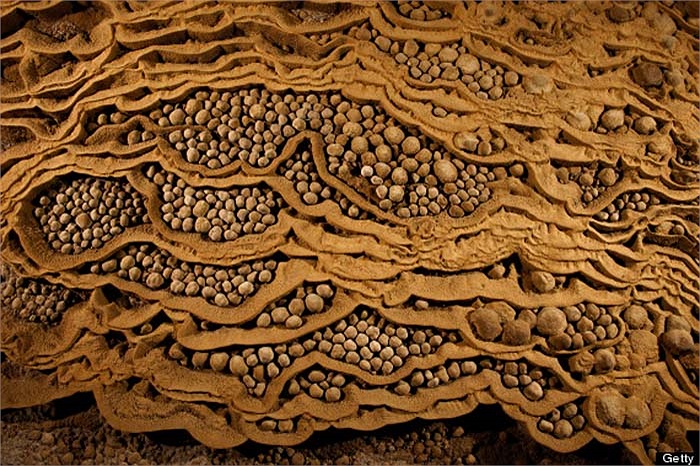 Bộ sưu tập “ngọc trai” hàng vạn năm tuổi.