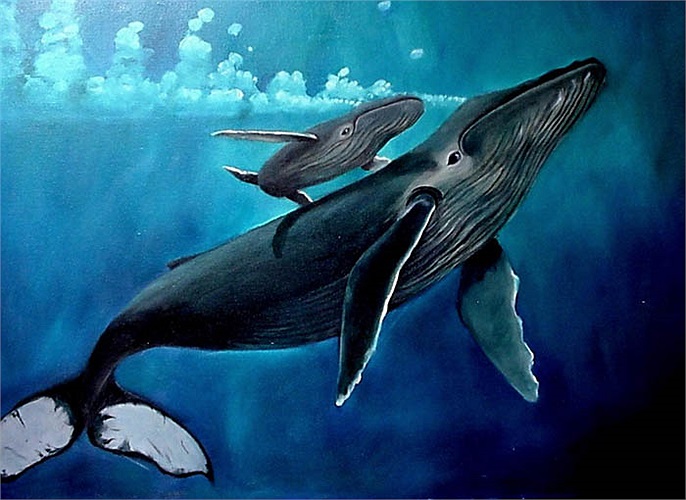 Cá voi xanh là loài động vật có vú sống trong tất cả các đại dương trên thế giới. Chúng được biết đến là loài sinh vật to lớn nhất còn sống trên Trái Đất.